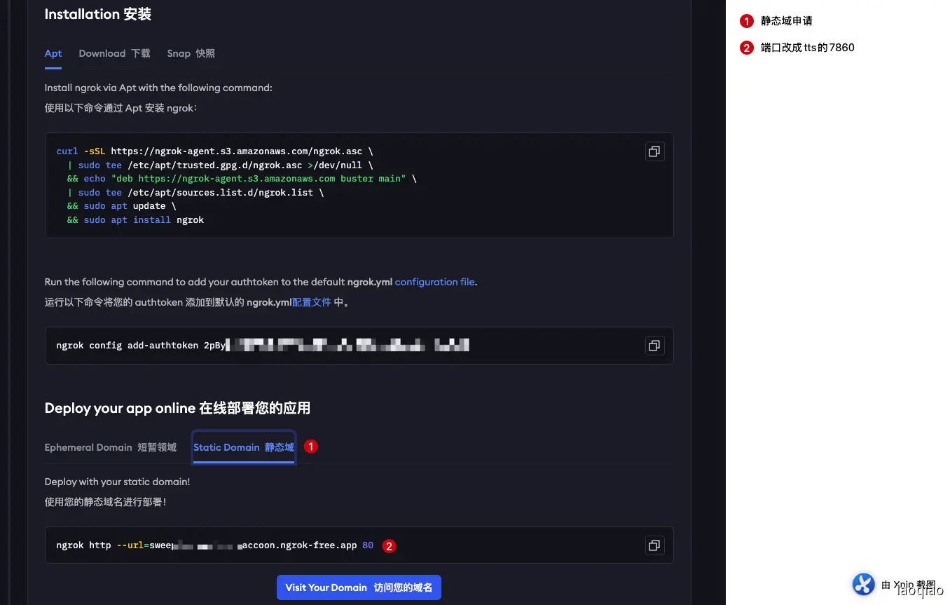Ngrok 配置界面